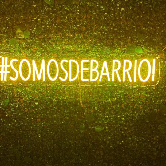 letras de led neón flex personalizadas somos de barrio rotulaled